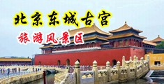 骚货浪叫肏干视频中国北京-东城古宫旅游风景区
